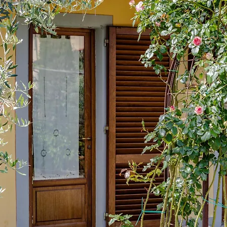 Villa Lolu Terranuova Bracciolini