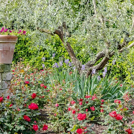 Villa Lolù Terranuova Bracciolini