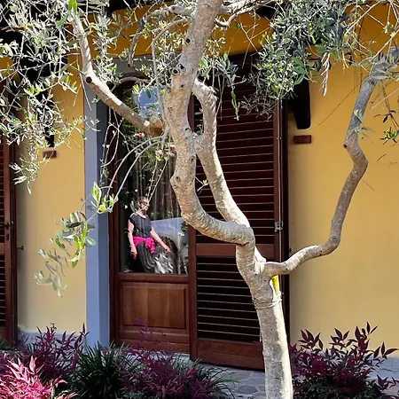 Villa Lolu *