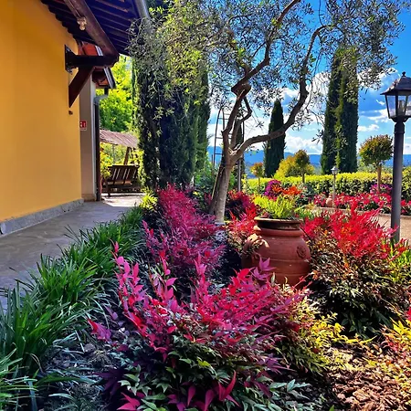 Lolu Villa Terranuova Bracciolini